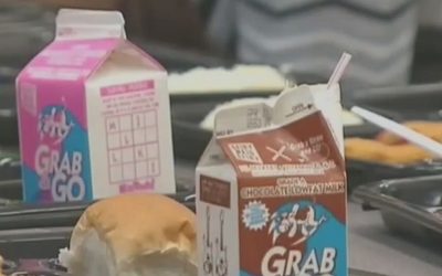 Where can my child get free meals this summer?